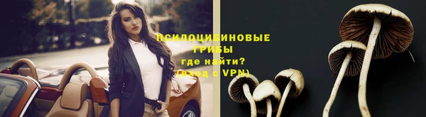 прущая мука Бронницы
