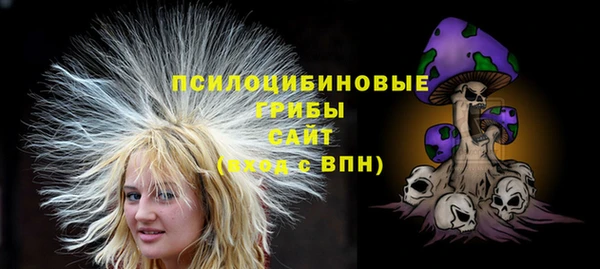 не бодяженный Бородино